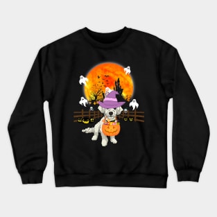 Poodle Dog Witch Halloween Pumpkin Crewneck Sweatshirt